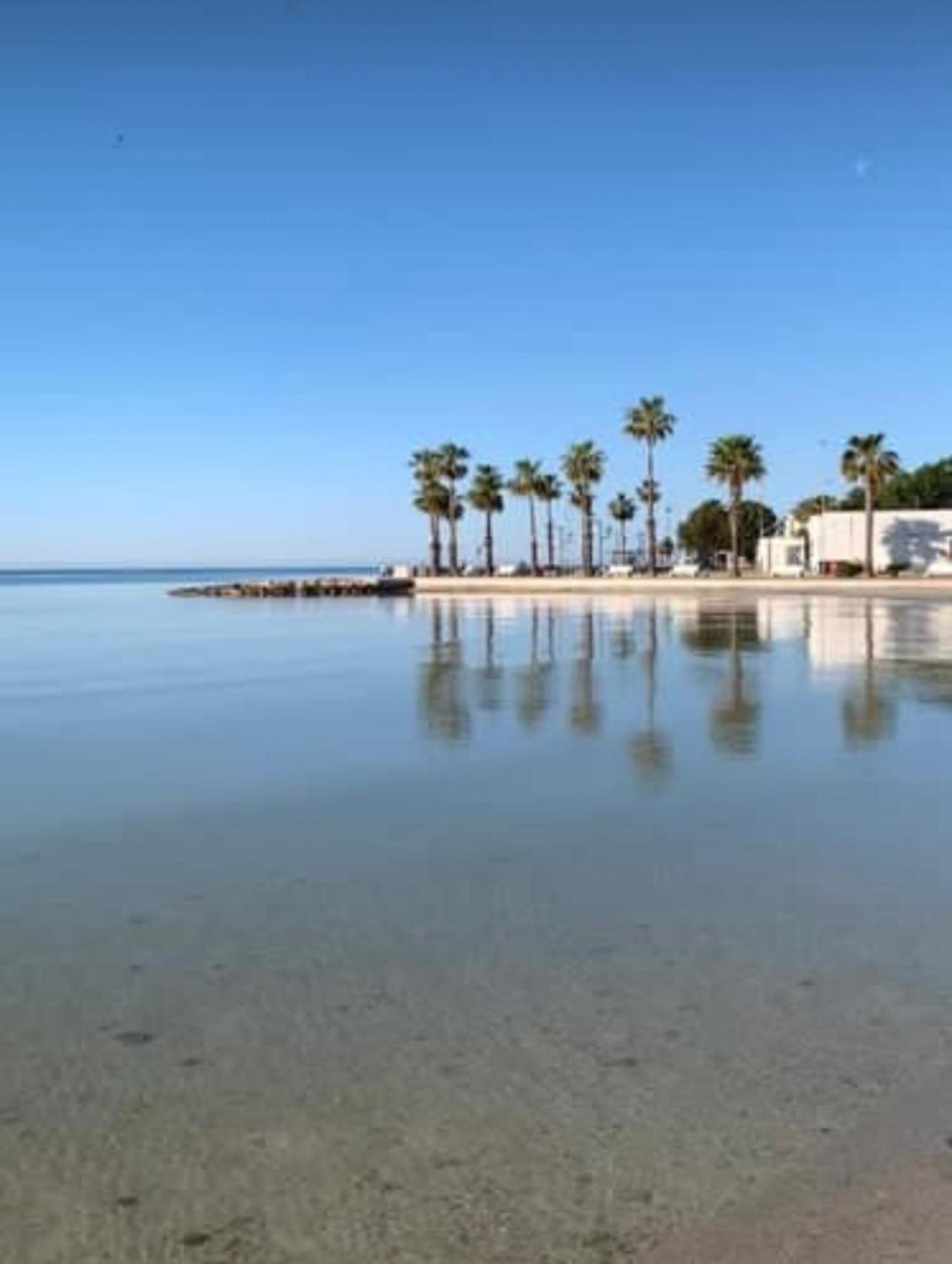 Appartement Viva Vista Mare Trilo Primo Piano à Porto Cesareo Extérieur photo